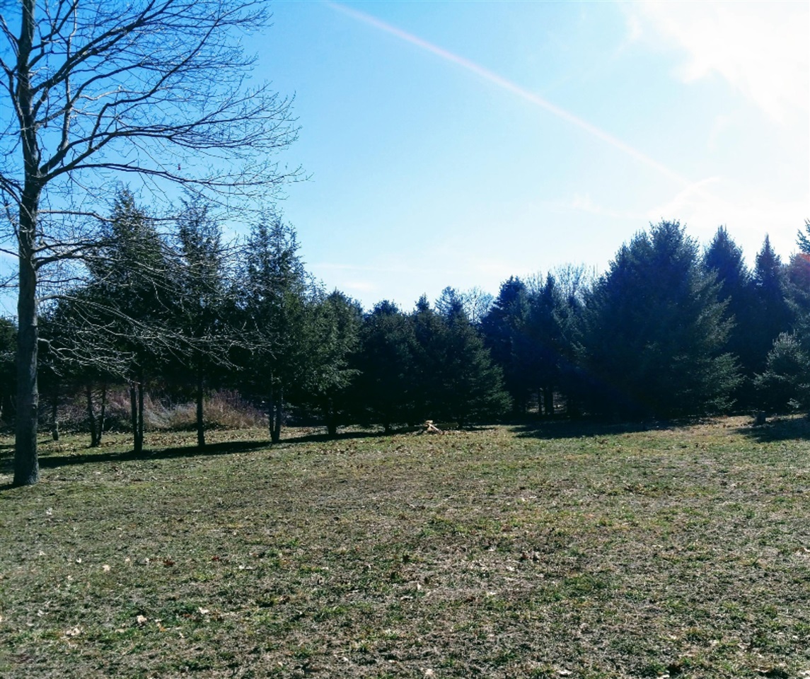 4 4 Mile Road Battle Creek, MI 49014 - Photo 5 of 7