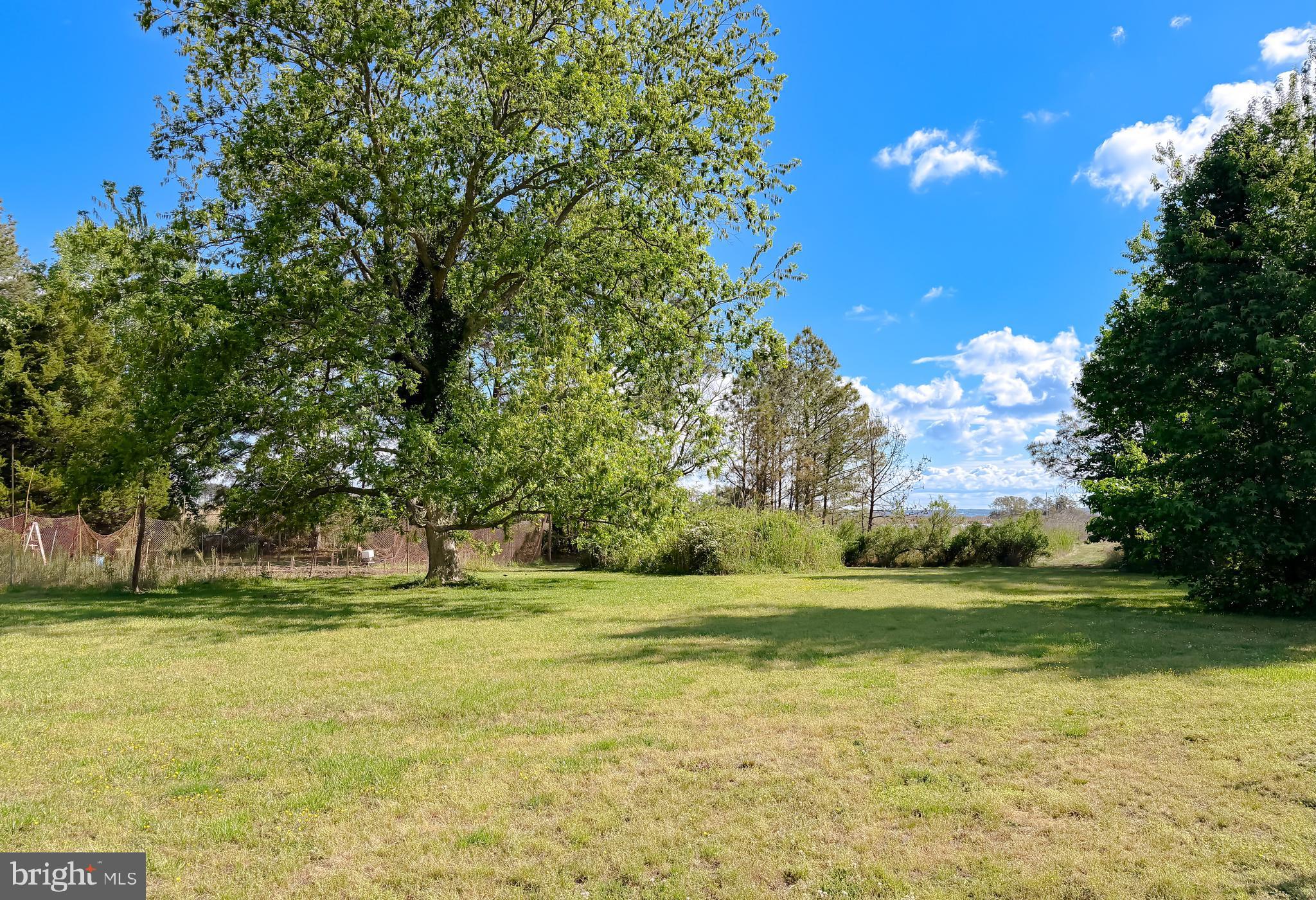 16146 Thomas Road Piney Point, MD 20674 - Photo 56 of 57 a garden view with a fountain