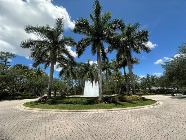a view of a park with palm trees