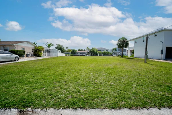 a view of a big yard with plants and a large tree