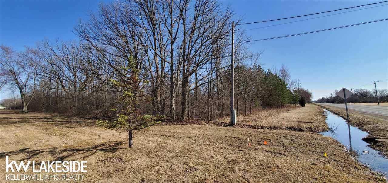 0 Torrey Road Flint, MI 48507 - Photo 2 of 4