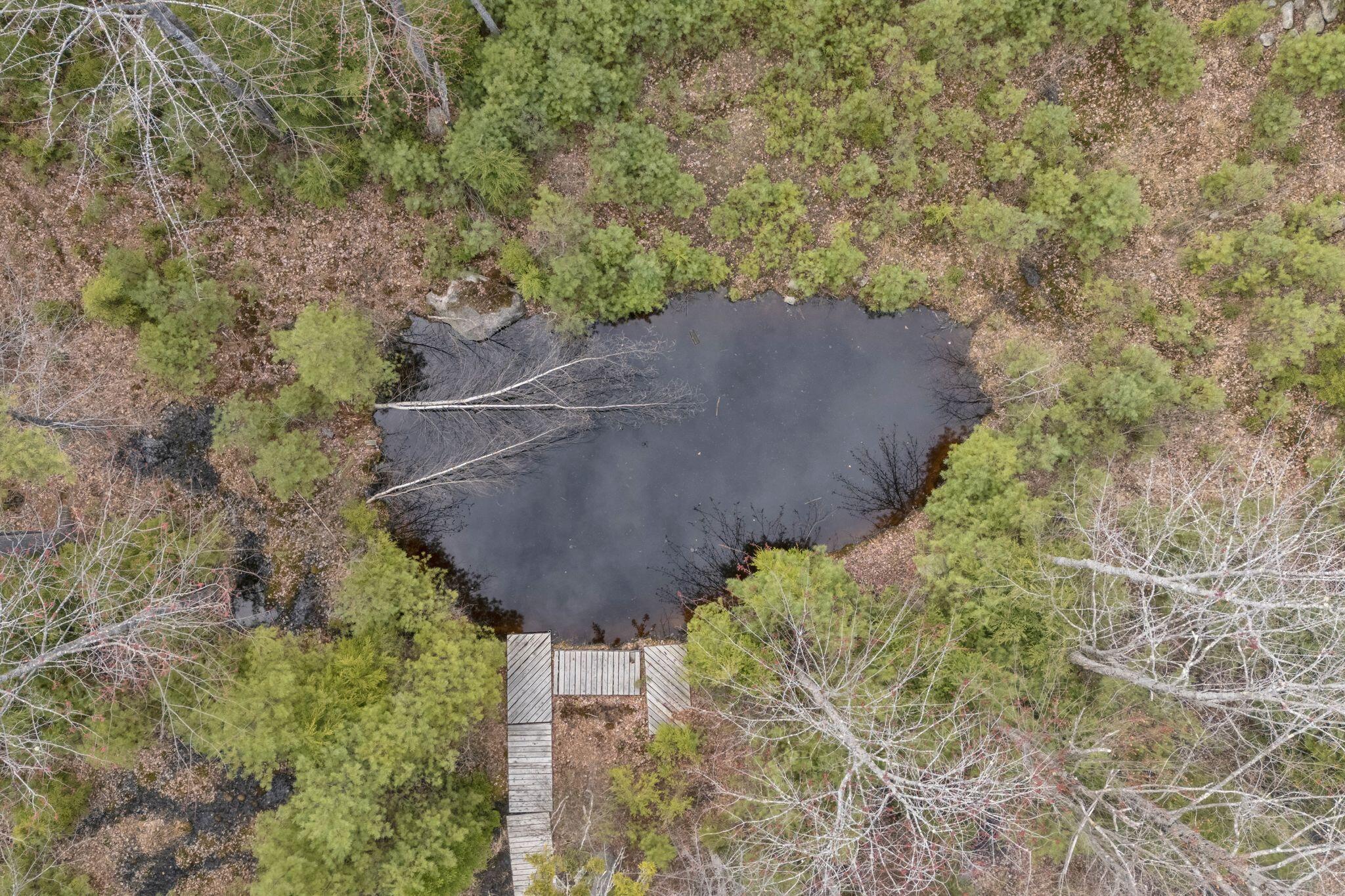 813 Norway Road Harrison, ME 04040 - Photo 9 of 62 20_DJI_20260504095226_0021_D