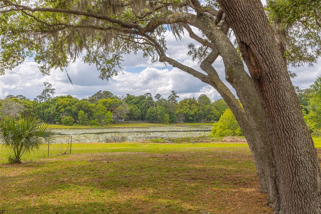 205 Angeles Road DeBary, FL 32713 - Photo 30 of 33