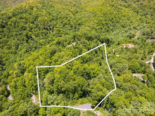 $68,500 | 0 Triple Creek Drive, Unit 43, Clyde, NC 28721