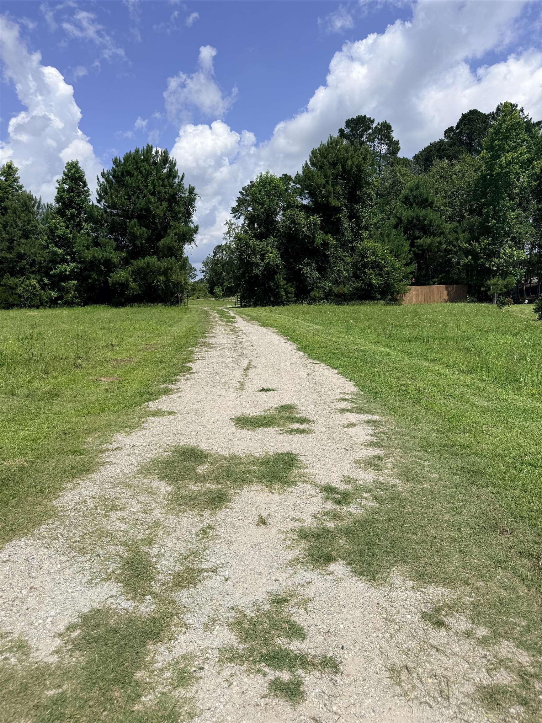 1991 Church Road Green Sea, SC 29545 - Photo 3 of 14