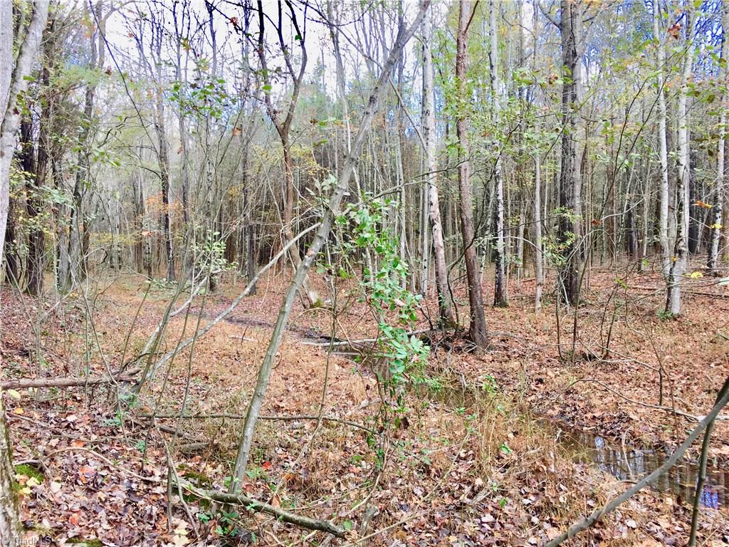 2 Evans Road Mocksville, NC 27028 - Photo 2 of 14 Spring fed stream in low lying area might be the perfect location to build a pond of your own!