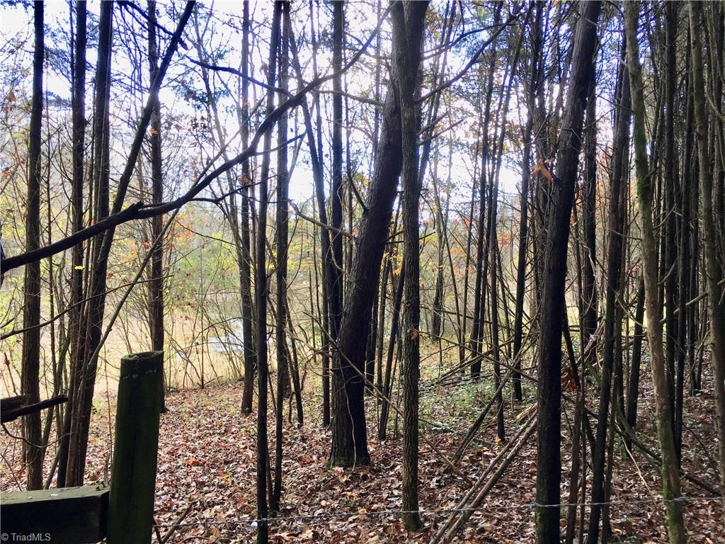 2 Evans Road Mocksville, NC 27028 - Photo 3 of 14 Peeking through the young cedar forest, at the bottom of the hilltop building site, envisioning clearing the view to the pond!