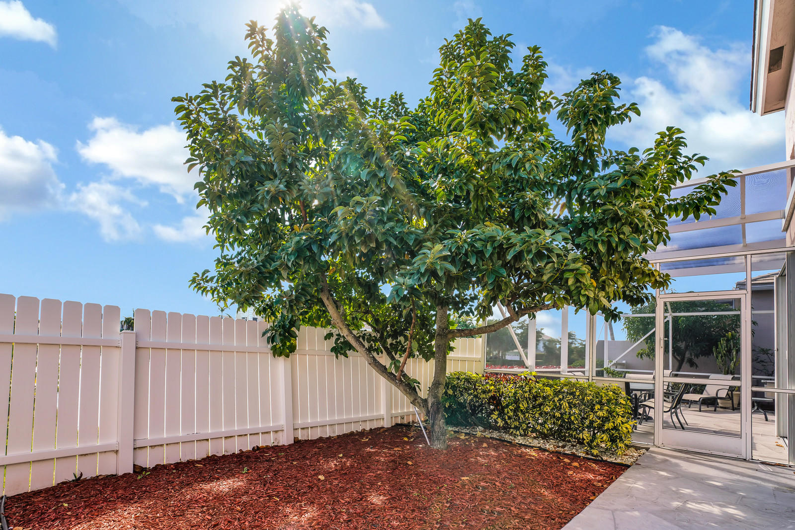 7981 Travelers Tree Drive Boca Raton, FL 33433 - Photo 27 of 37 Back Yard