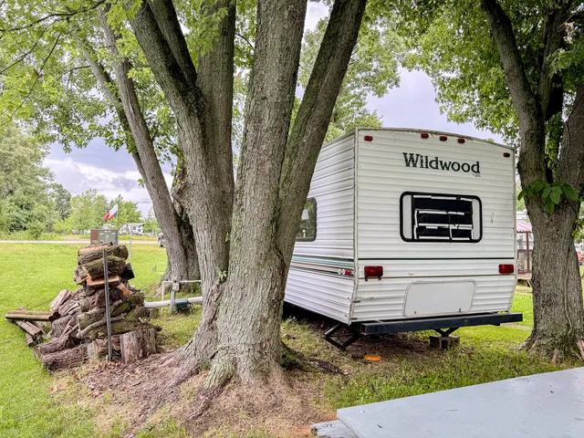 a view of a bench in the backyard