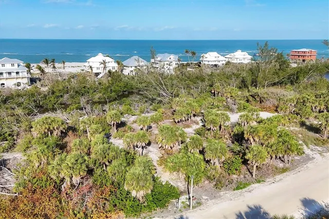 a view of a bunch of trees and houses