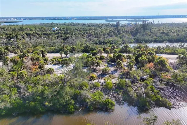 an aerial view of residential houses with outdoor space and trees
