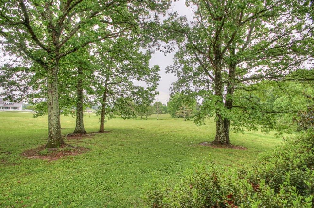 314 Dye Road Bell Buckle, TN 37020 - Photo 55 of 69 Gallery Image 55