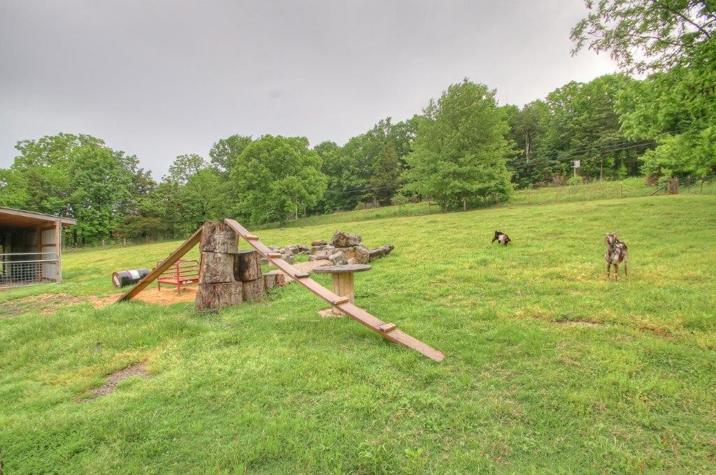 314 Dye Road Bell Buckle, TN 37020 - Photo 69 of 69 Gallery Image 69