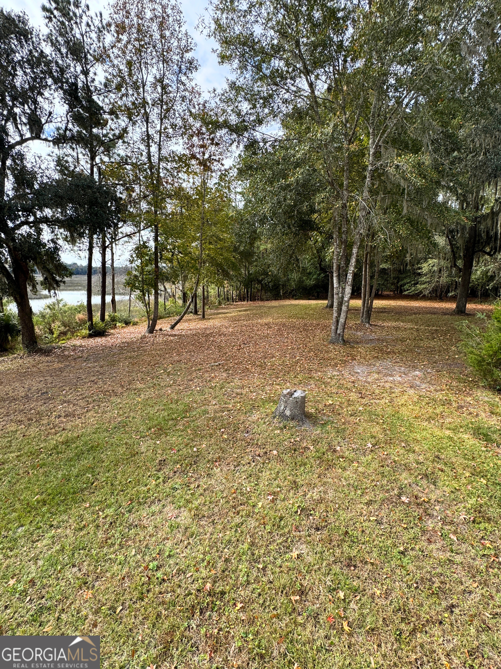 2554 Harrietts Bluff Road Woodbine, GA 31569 - Photo 32 of 35 a backyard of a house with lots of green space