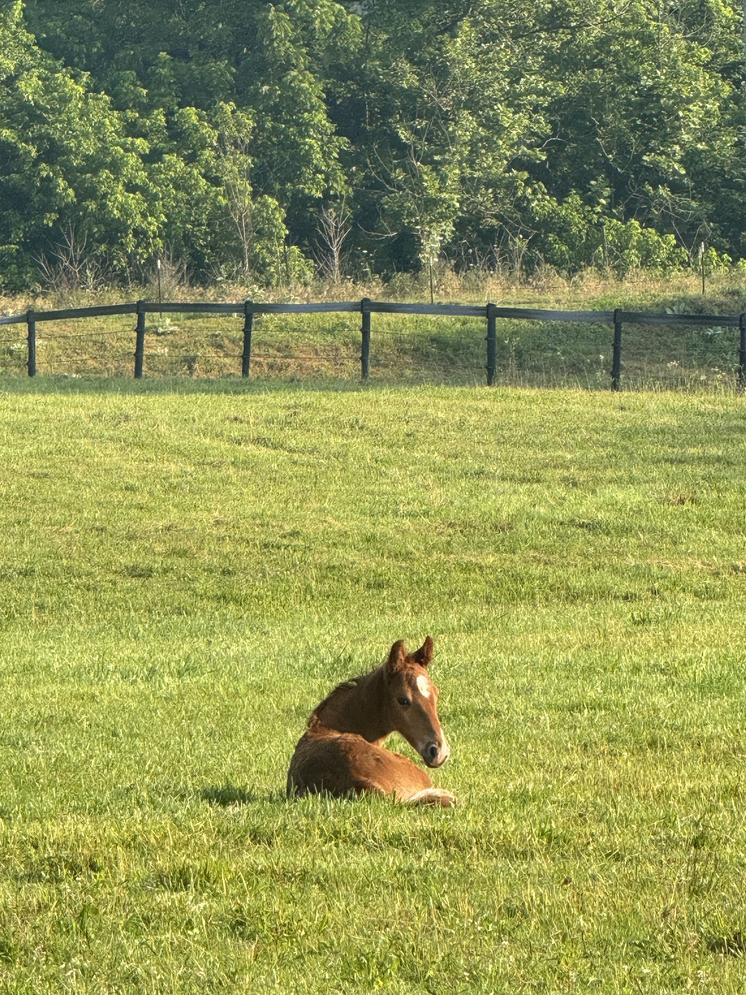4035 Fortyeight Creek Road Waynesboro, TN 38485 - Photo 15 of 36
