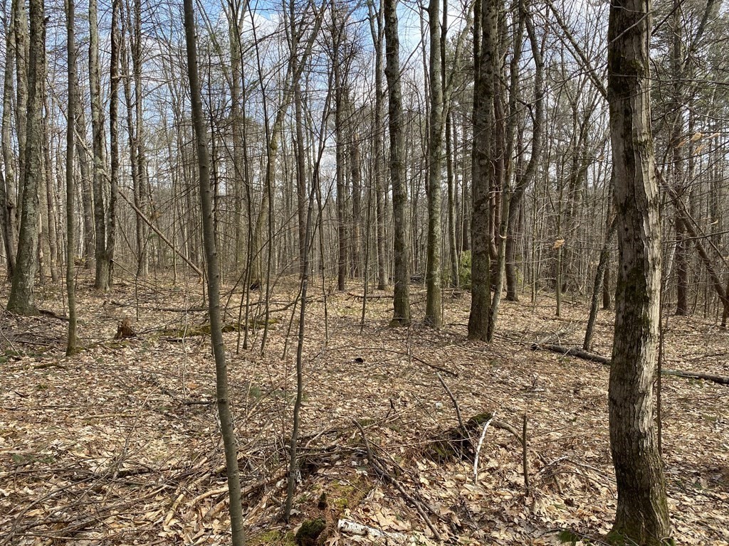0 Hubbardston Road Barre, MA 01005 - Photo 6 of 14