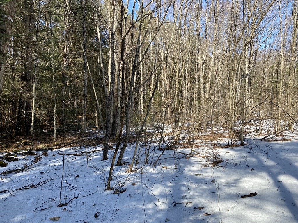 0 Hubbardston Road Barre, MA 01005 - Photo 10 of 14