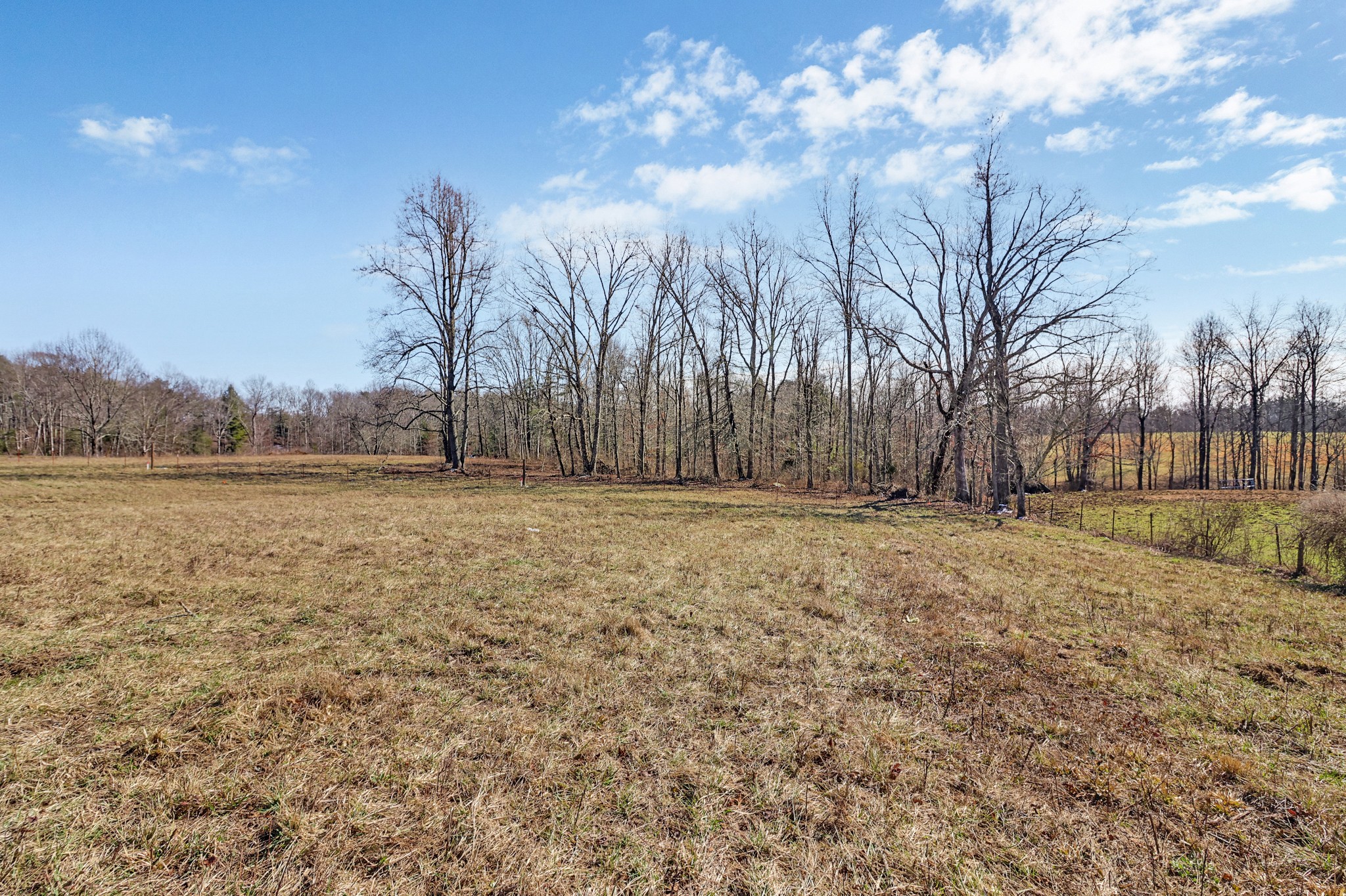 2771 Banner-Roslin Road Jamestown, TN 38556 - Photo 5 of 55 a view of patio with yard and trees