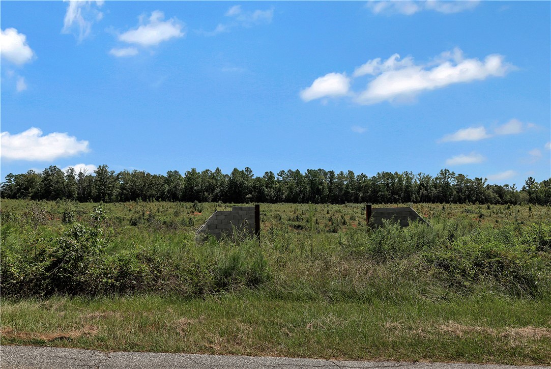 0 Brown Road Starr, SC 29684 - Photo 7 of 12 A spacious, buildable parcel with partial concrete block foundations, ready for construction amidst natural surroundings.