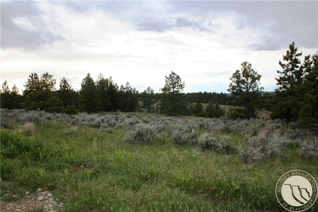 Lot 69 Jacobs Hill Road Reed Point, MT 59069 - Photo 25 of 25 Gallery Image 25