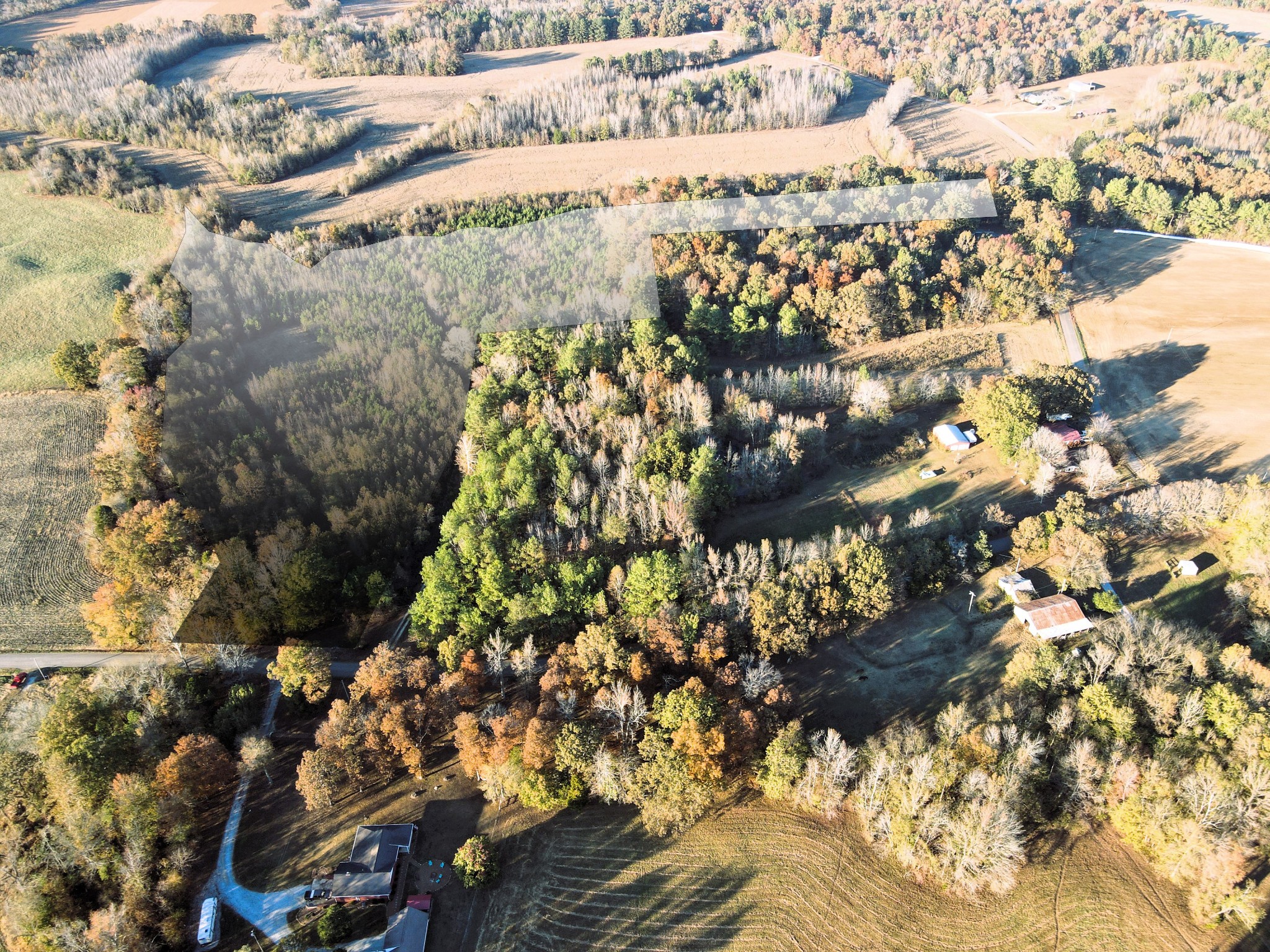 0 Hicks Road Big Sandy, TN 38221 - Photo 4 of 9