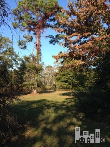 351 Olde Point Loop Hampstead, NC 28443 - Photo 3 of 6 Additional Photo