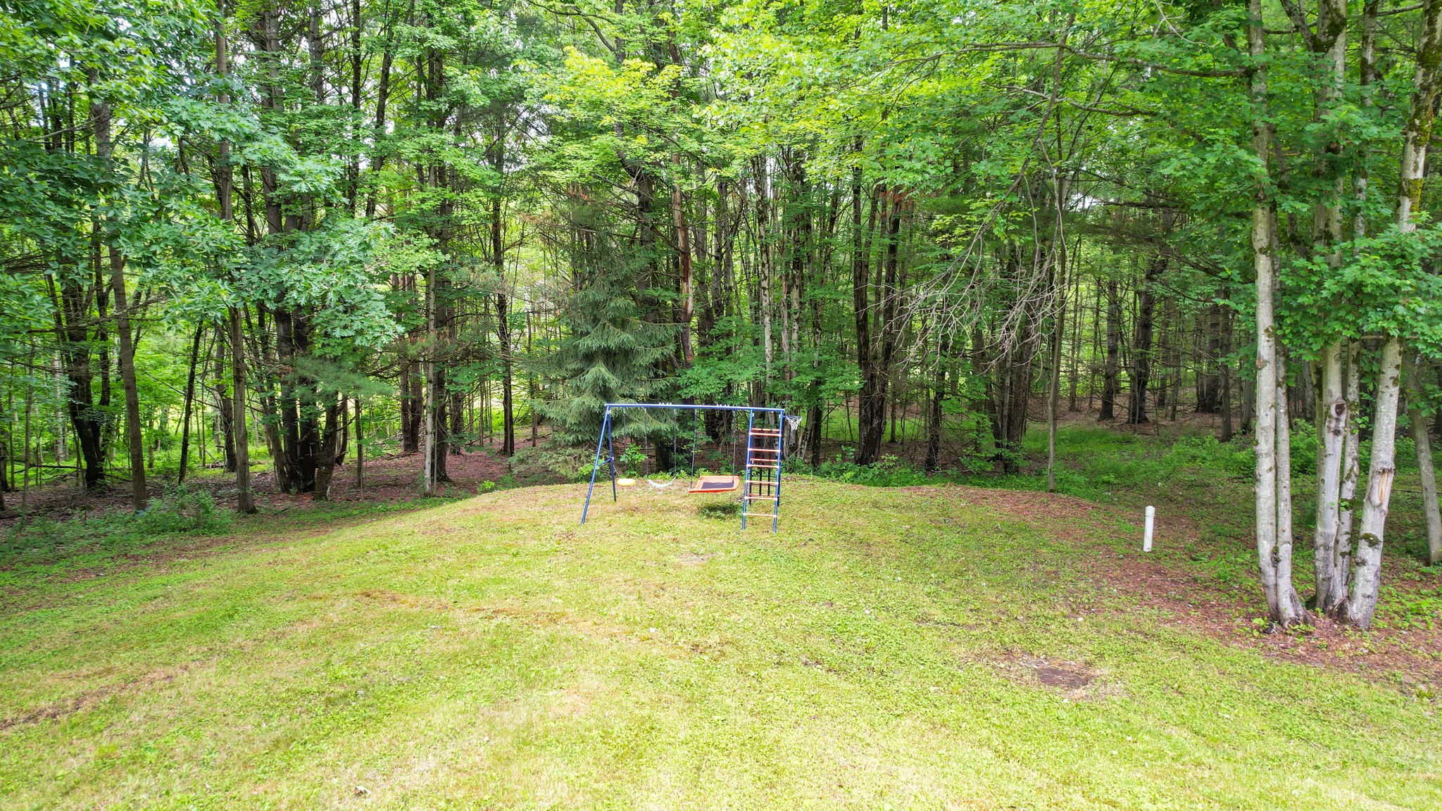 731 Smokey Zimmer Road Newark Valley, NY 13811 - Photo 4 of 35