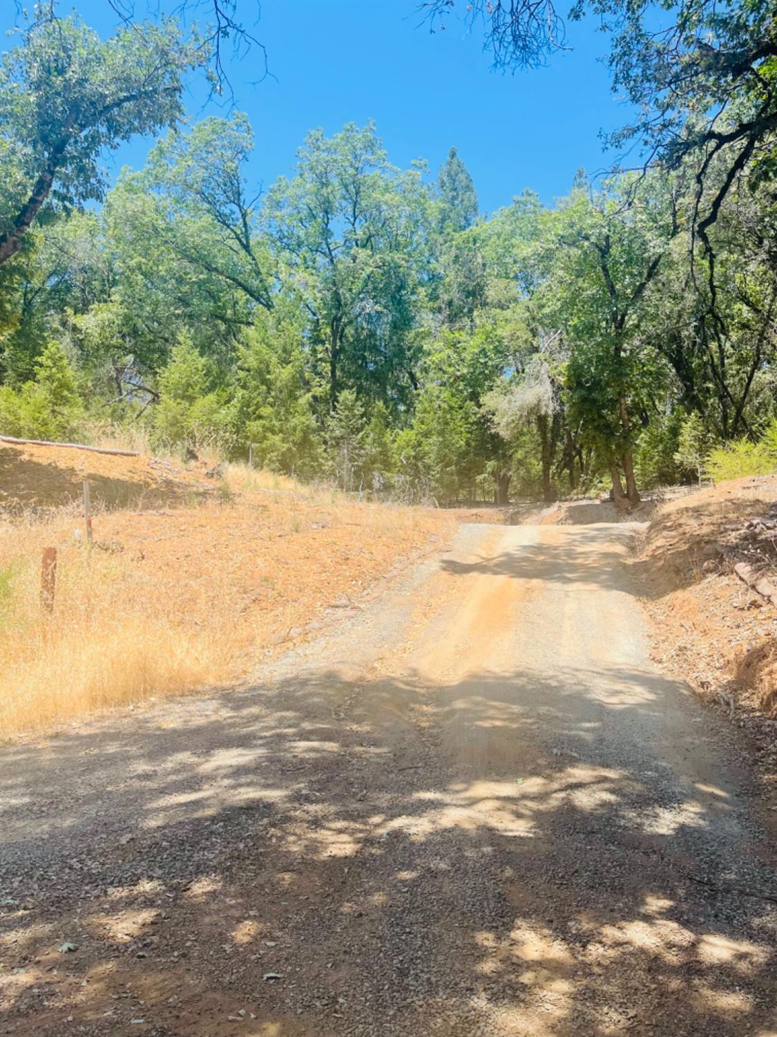 23025 Placer Hills Road Colfax, CA 95713 - Photo 12 of 12