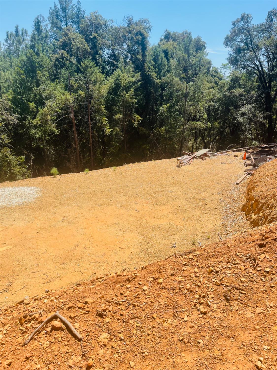 23025 Placer Hills Road Colfax, CA 95713 - Photo 2 of 12