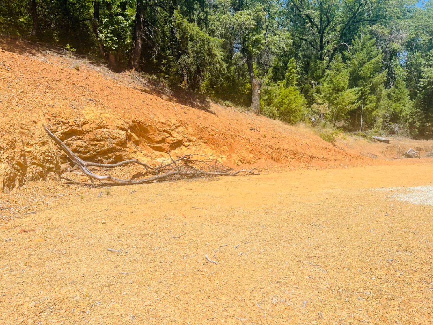 23025 Placer Hills Road Colfax, CA 95713 - Photo 5 of 12