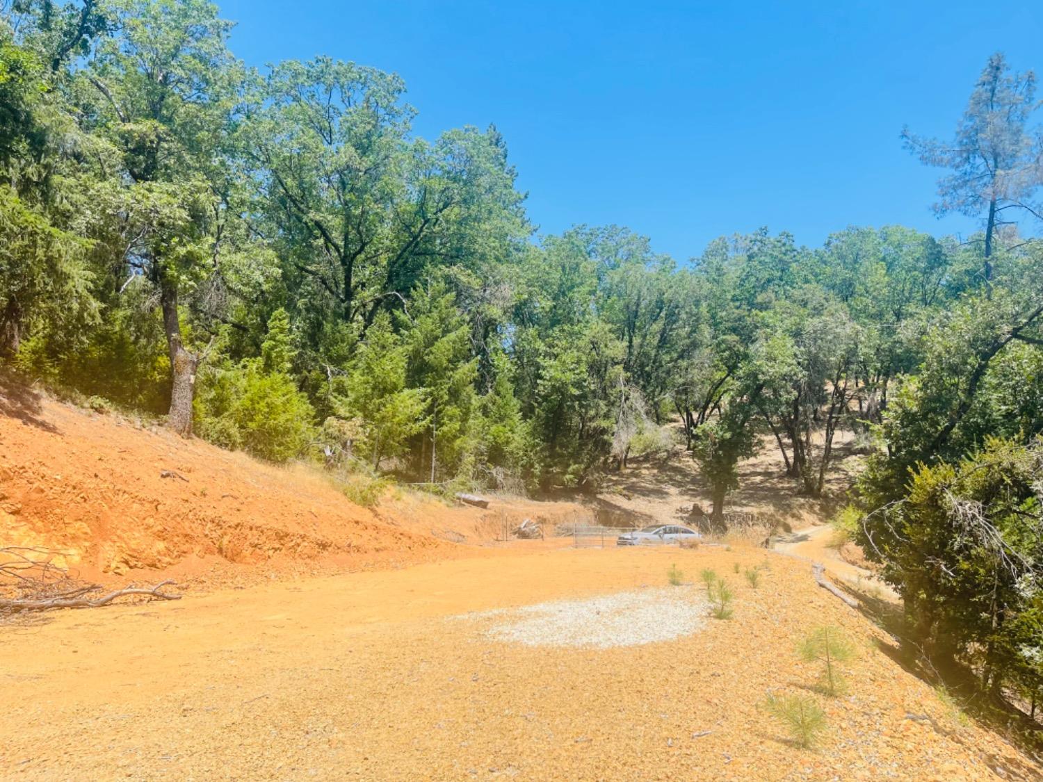 23025 Placer Hills Road Colfax, CA 95713 - Photo 6 of 12