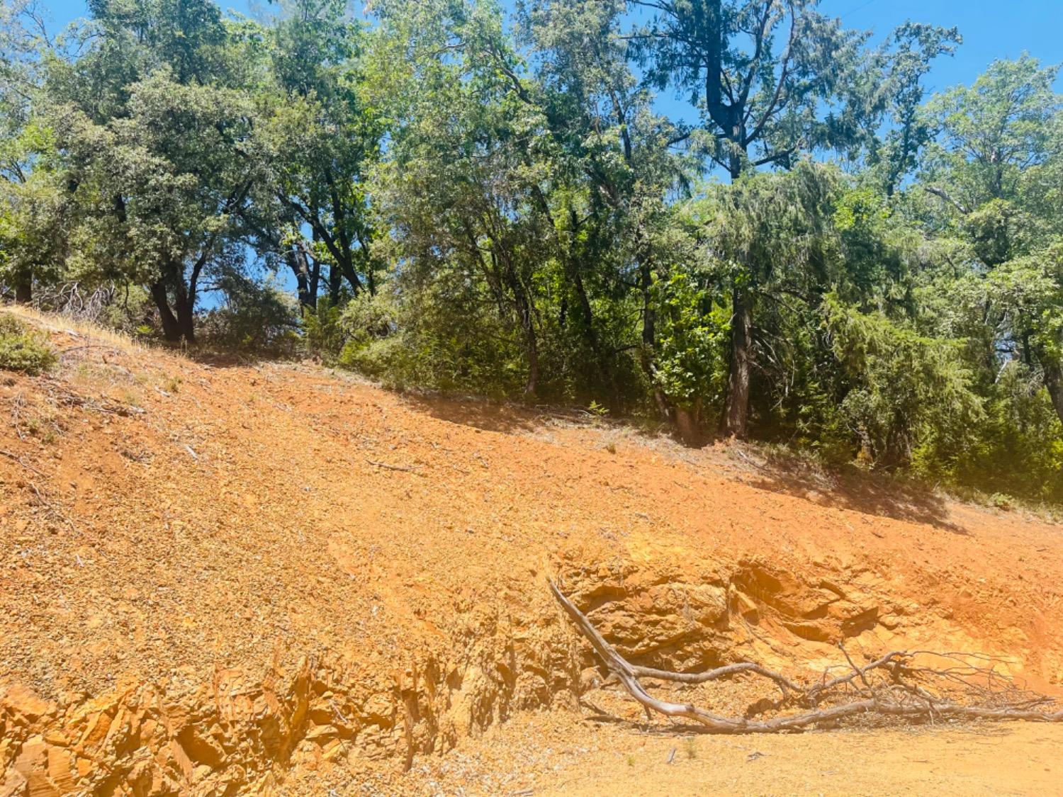 23025 Placer Hills Road Colfax, CA 95713 - Photo 7 of 12