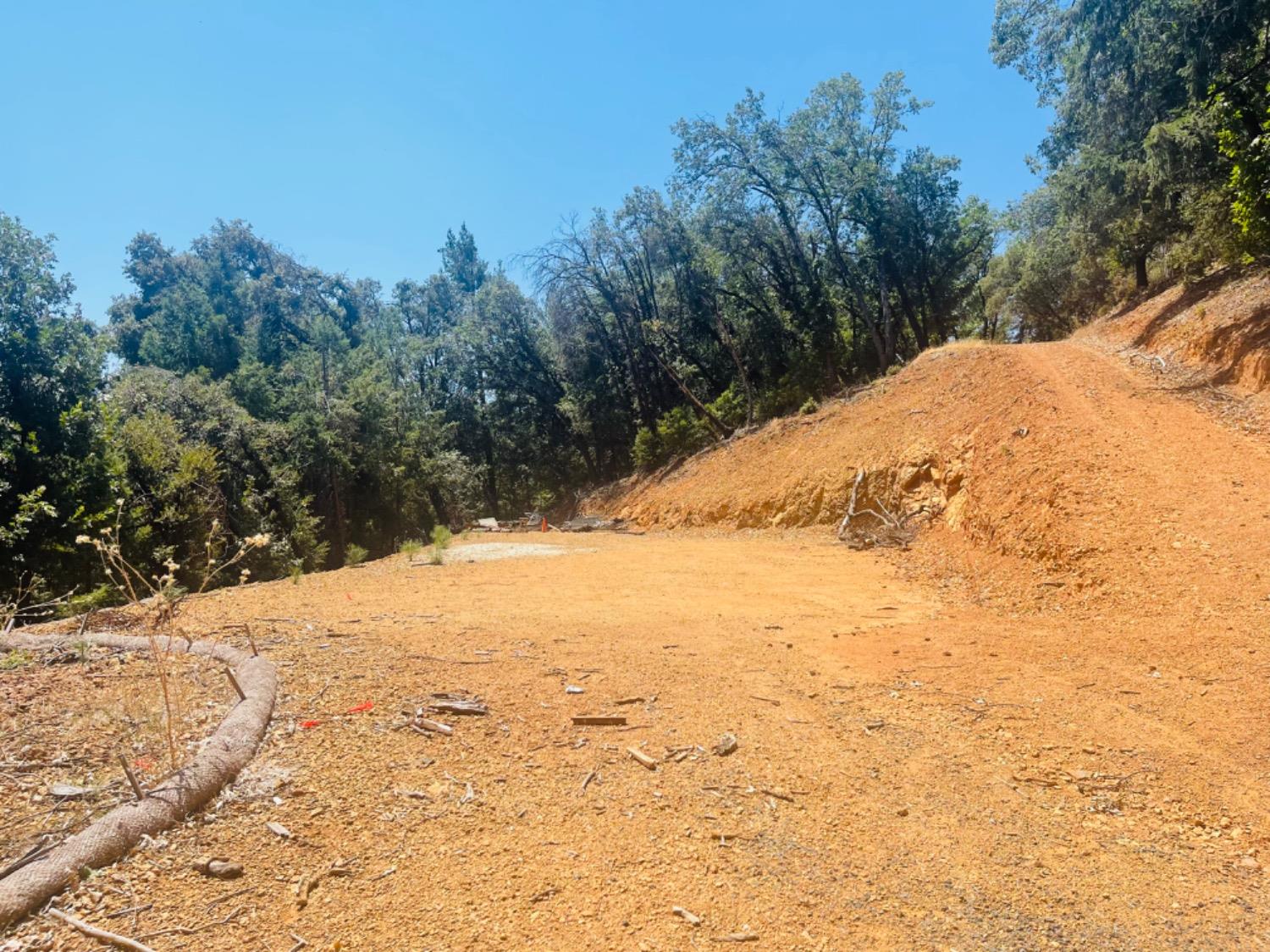 23025 Placer Hills Road Colfax, CA 95713 - Photo 8 of 12