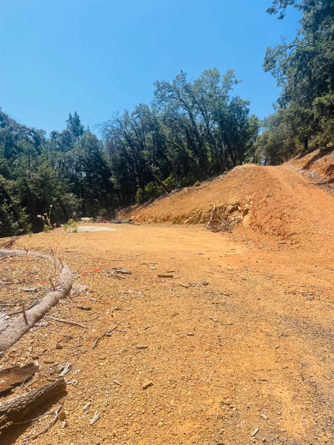 23025 Placer Hills Road Colfax, CA 95713 - Photo 9 of 12