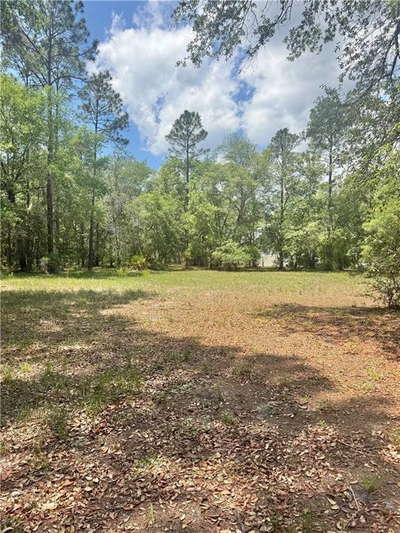 652 Picnic Lane Townsend, GA 31331 - Photo 4 of 5