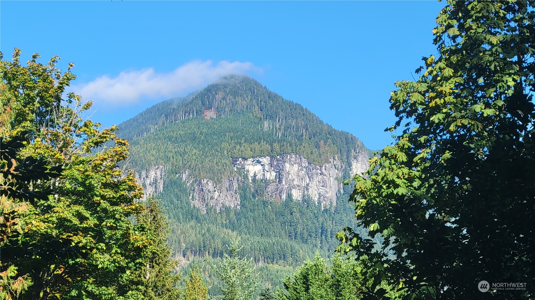 44326 Fir Road Gold Bar, WA 98251 - Photo 2 of 40 Gallery Image 2
