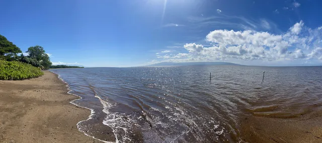 a view of a hall with wooden floor