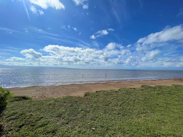 a view of a pathway both side of river and trees in the background