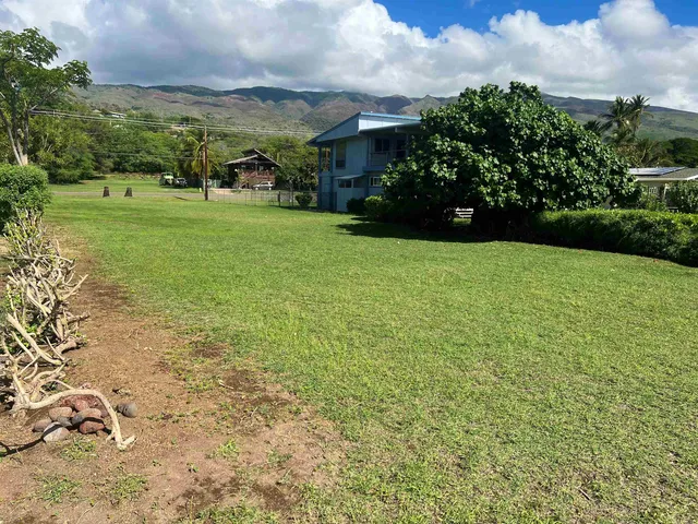 a view of a garden with a building in the background