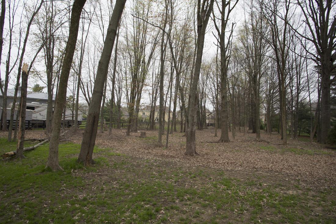 5079 Worthington Road Galena, OH 43021 - Photo 5 of 19 Gallery Image 5