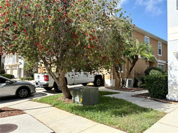 a view of a park with large trees