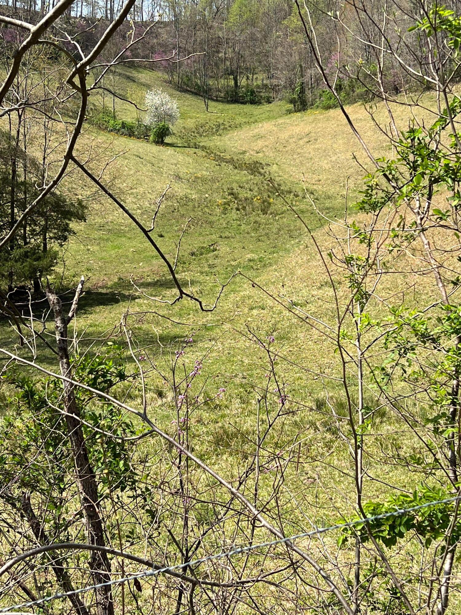 1 Dunn Road Campton, KY 41301 - Photo 67 of 69 IMG_7859