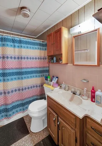 a bathroom with a sink a toilet and vanity