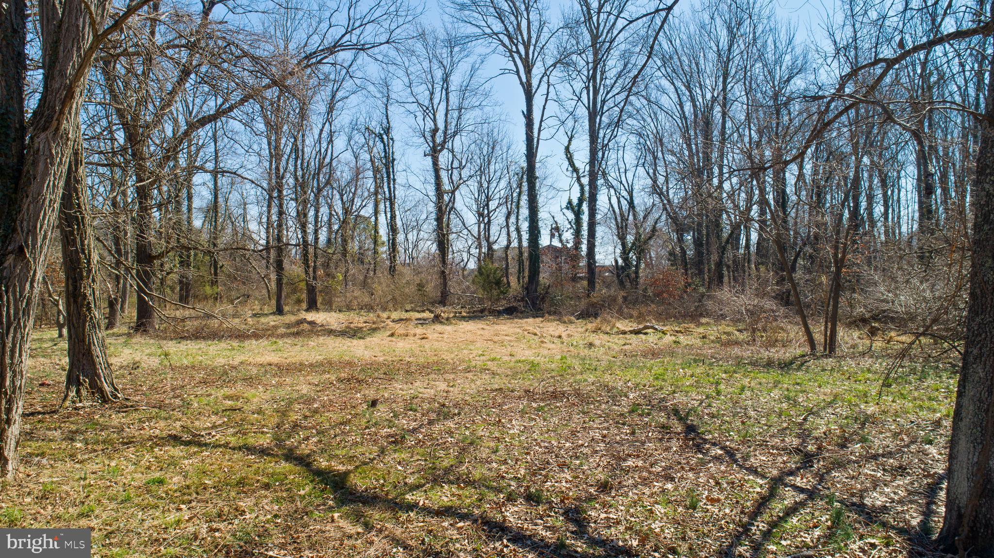 5911 Tyler Road Deale, MD 20751 - Photo 10 of 14 a view of a yard with trees