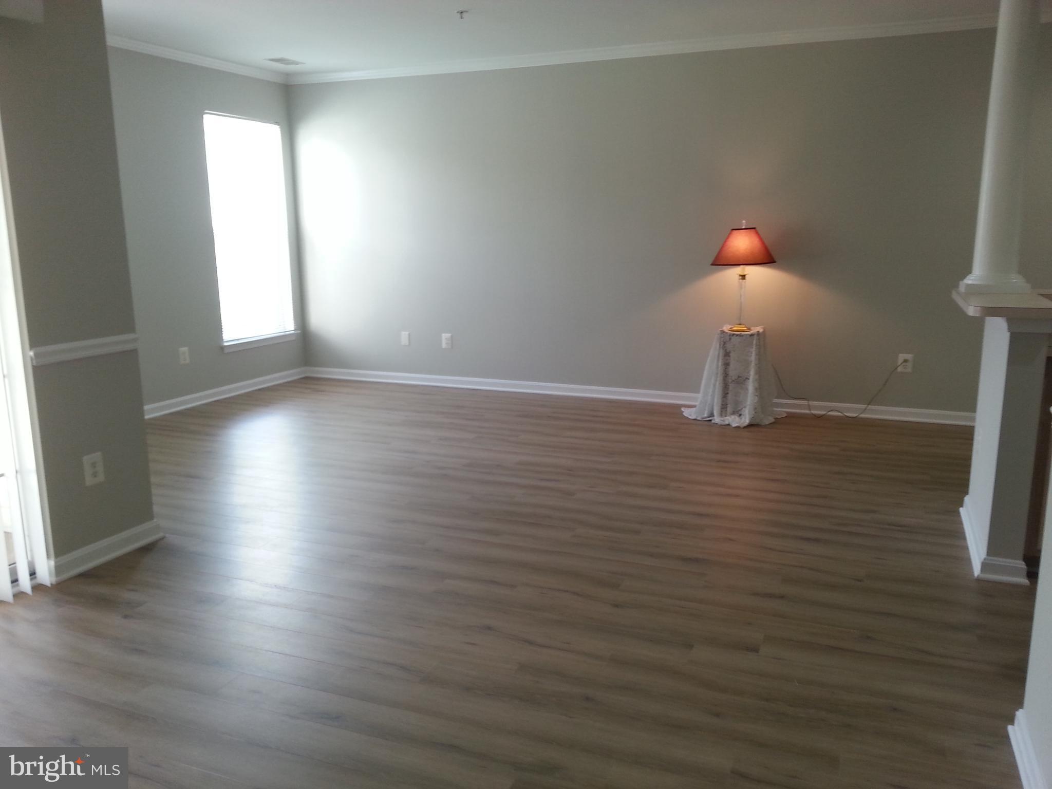25252 Riffleford Square, Unit 103 Chantilly, VA 20152 - Photo 4 of 20 Lots of light & great HGTV color scheme