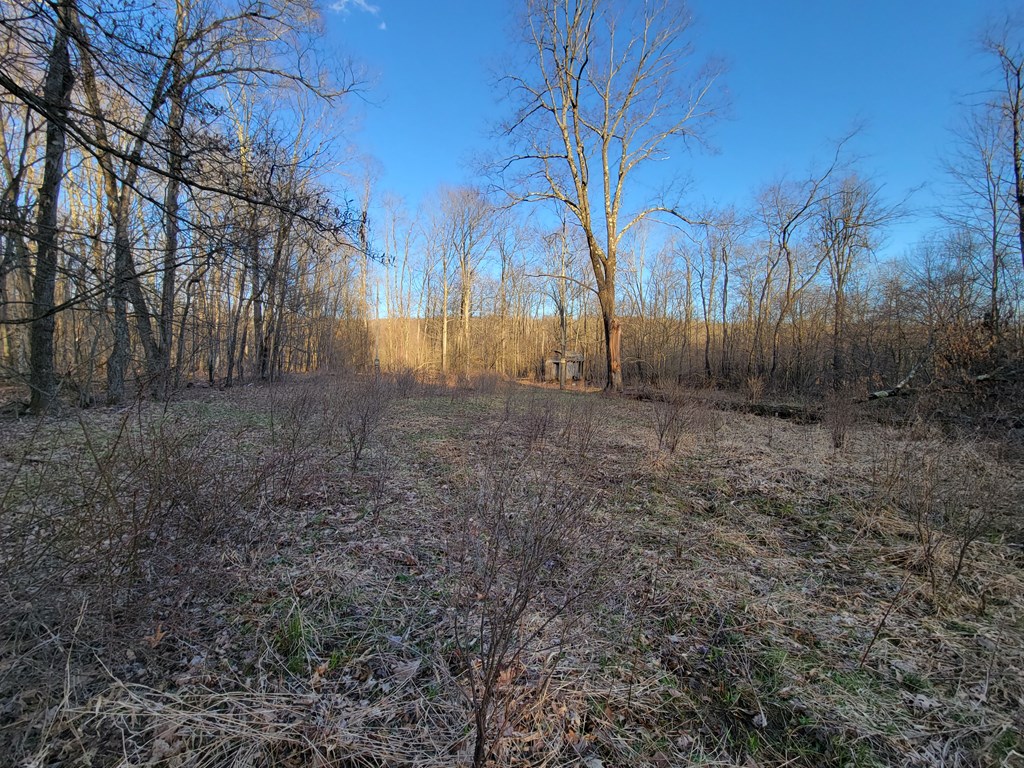 608 Cherrytree Road Titusville, PA 16354 - Photo 11 of 15 Gallery Image 11