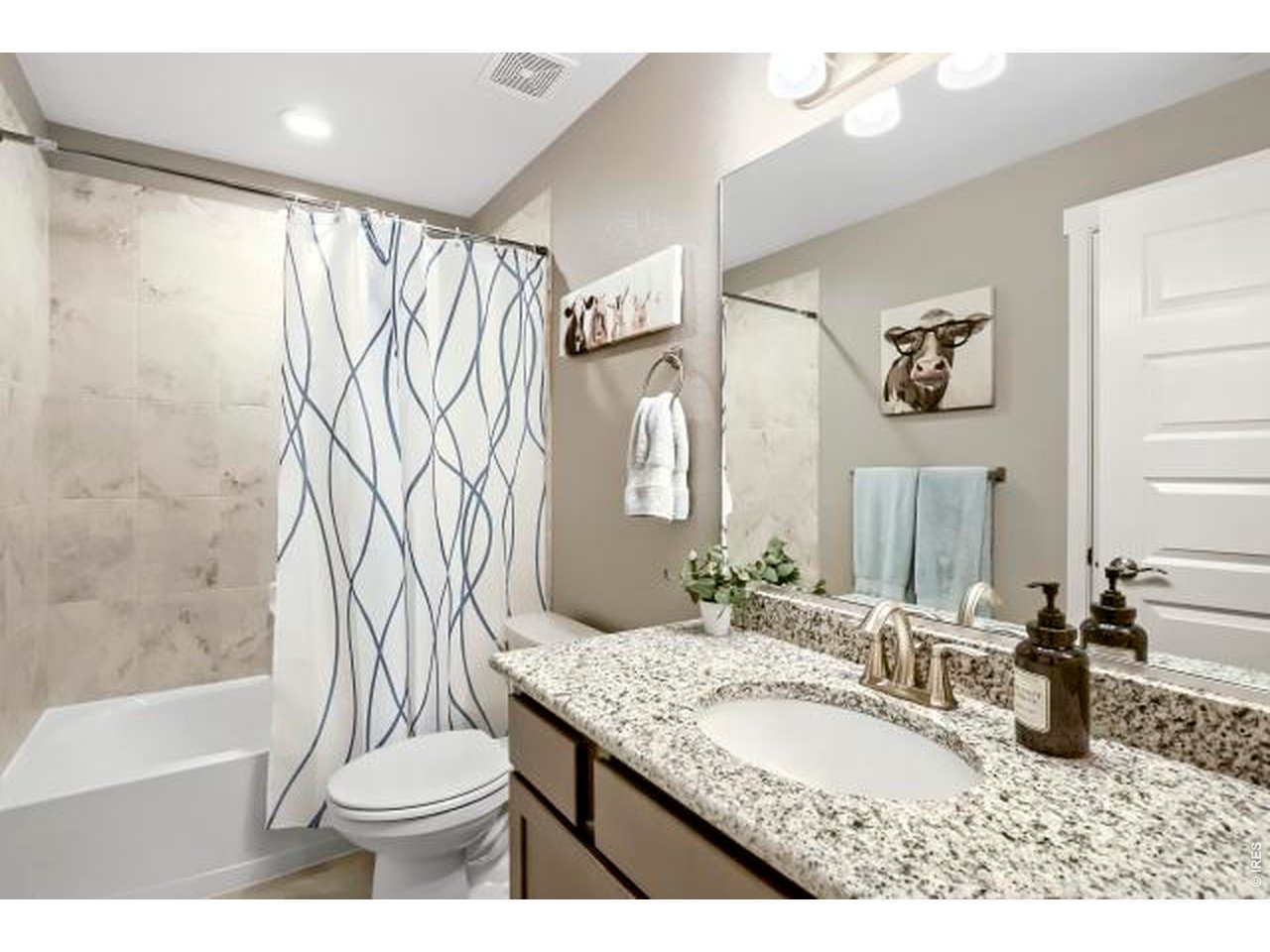 2169 Day Spring Drive Windsor, CO 80550 - Photo 24 of 39 a bathroom with a granite countertop sink toilet and shower