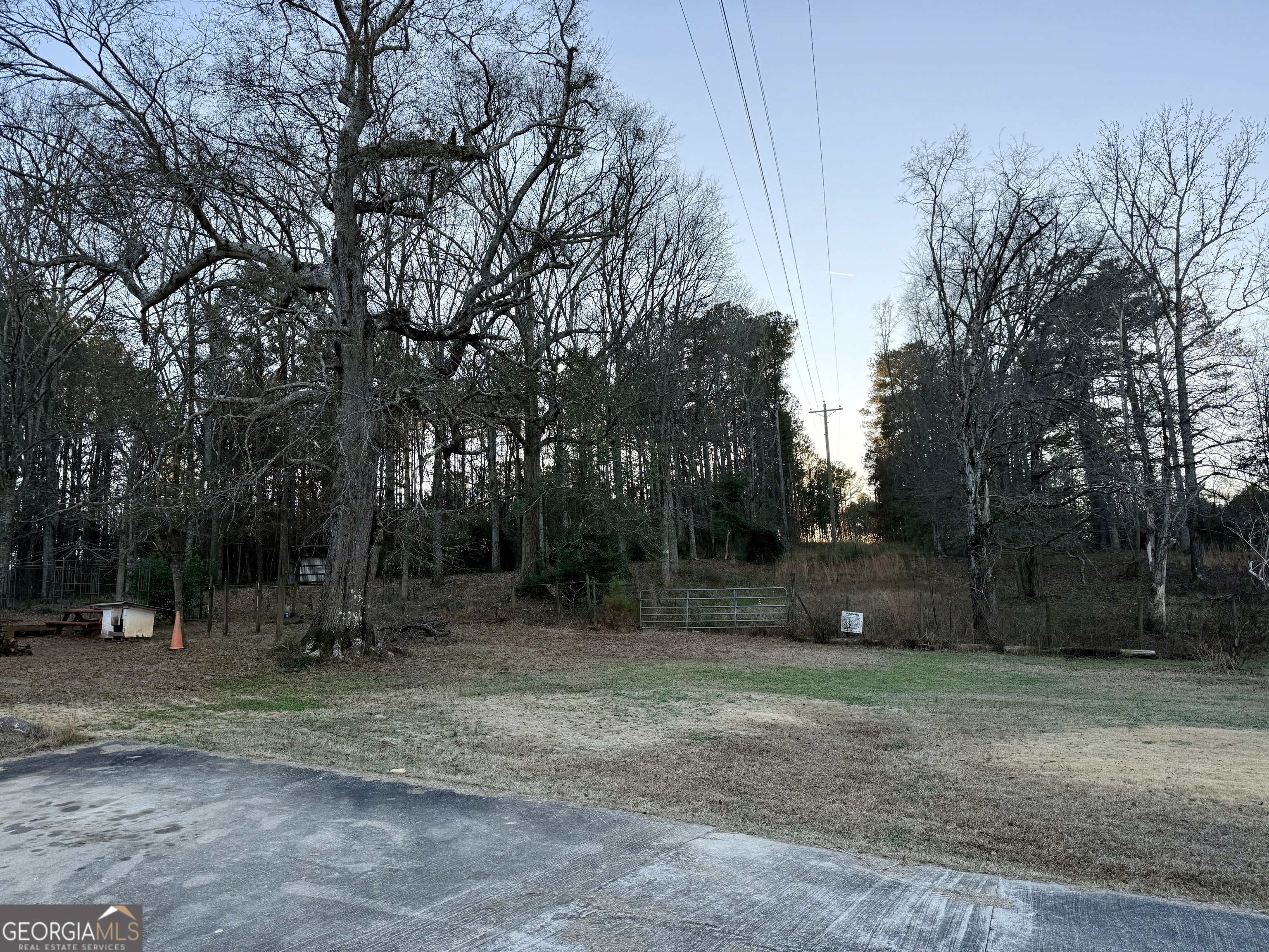 1567 Locust Grove Road Locust Grove, GA 30248 - Photo 5 of 33 a backyard of a house with lots of trees