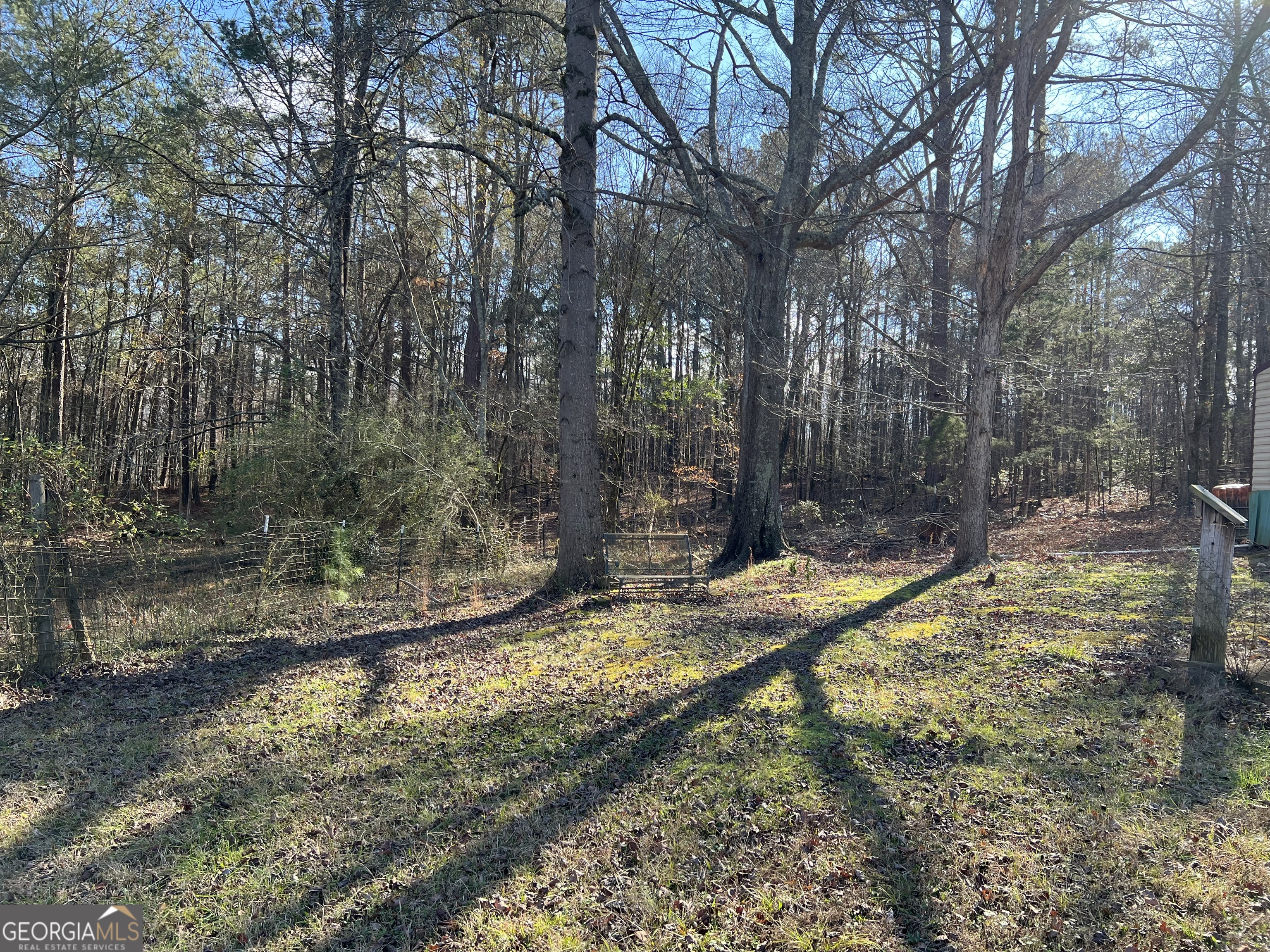1567 Locust Grove Road Locust Grove, GA 30248 - Photo 10 of 33 a view of a backyard with trees