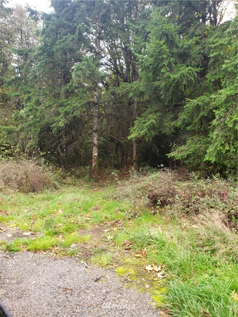 289 Avery Road West Winlock, WA 98596 - Photo 2 of 2